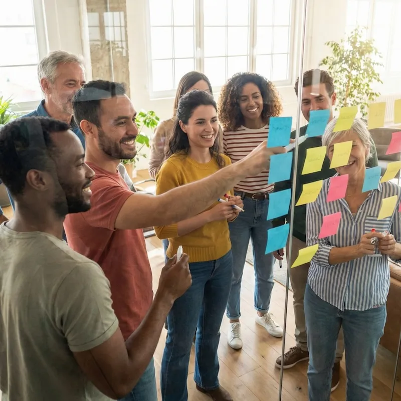 DRIVE Team - For Teams & Organizations
